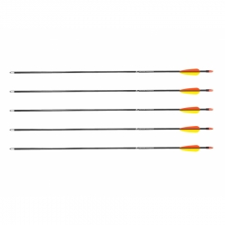 Strzała Poe Lang z włókna szklanego 30" grot tarczowy gładki czarna 5 sztuk